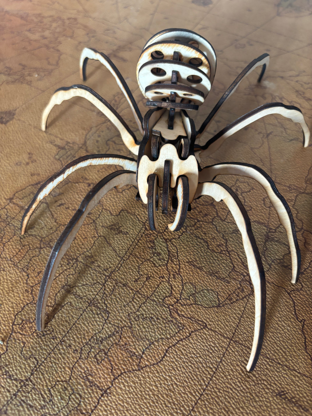 Laser-Cut Wooden Spider Puzzle – 3D Mechanical Style Model