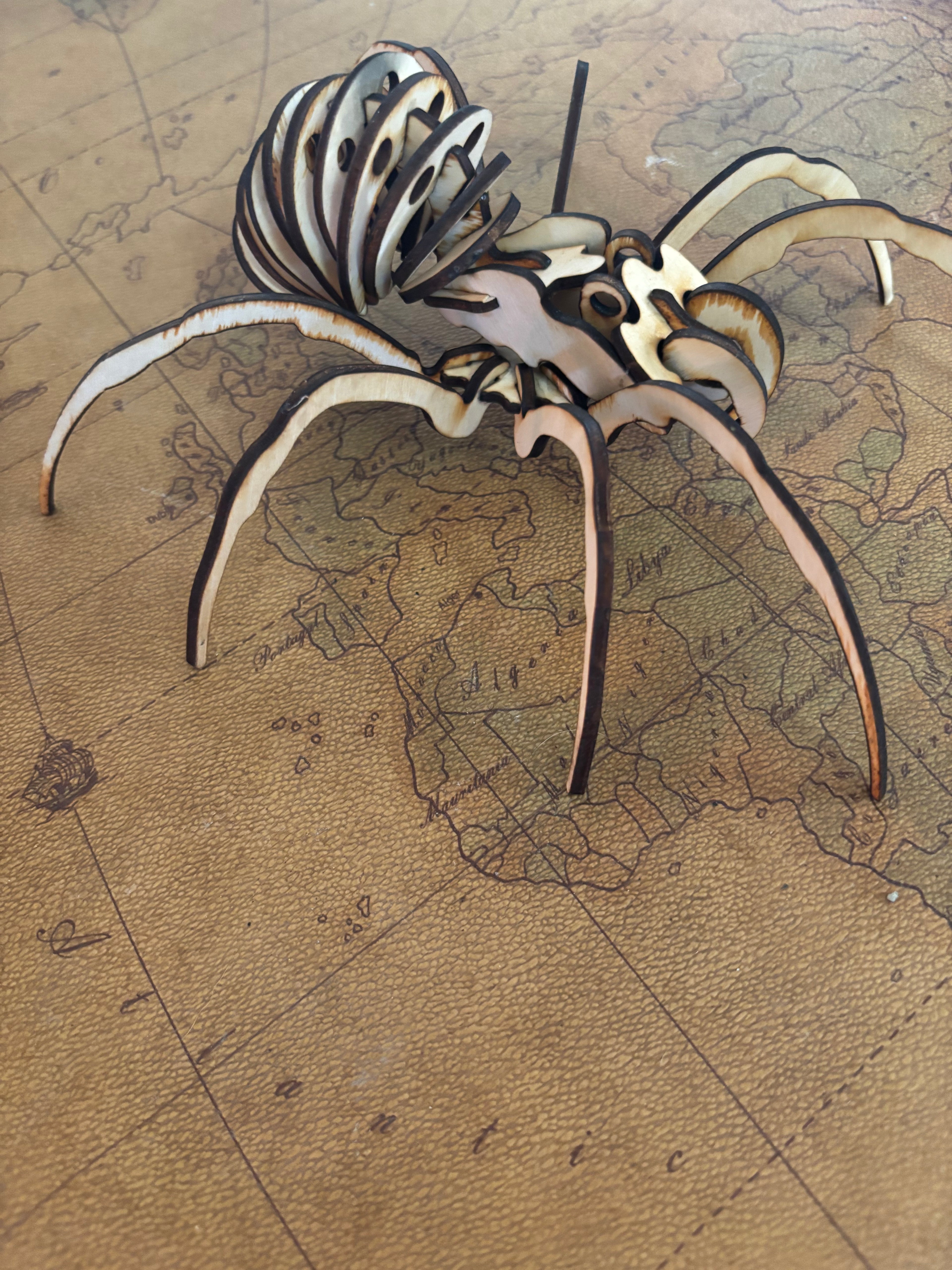 Laser-Cut Wooden Spider Puzzle – 3D Mechanical Style Model